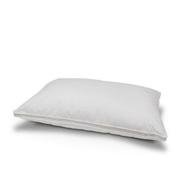 Microdown Micro-denier Premium Pillow